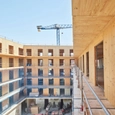 Laminated Timber Elements in Barcelona Building