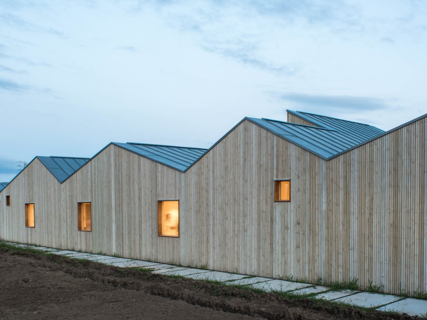 Custom Wooden Structure in Primary School