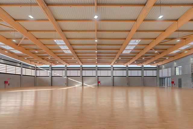 Timber Structures for Sports Facilities