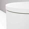 Wall-mounted Toilet - Millio