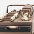 Wooden Luxury Mobile Gym Kit - SOPHIA™
