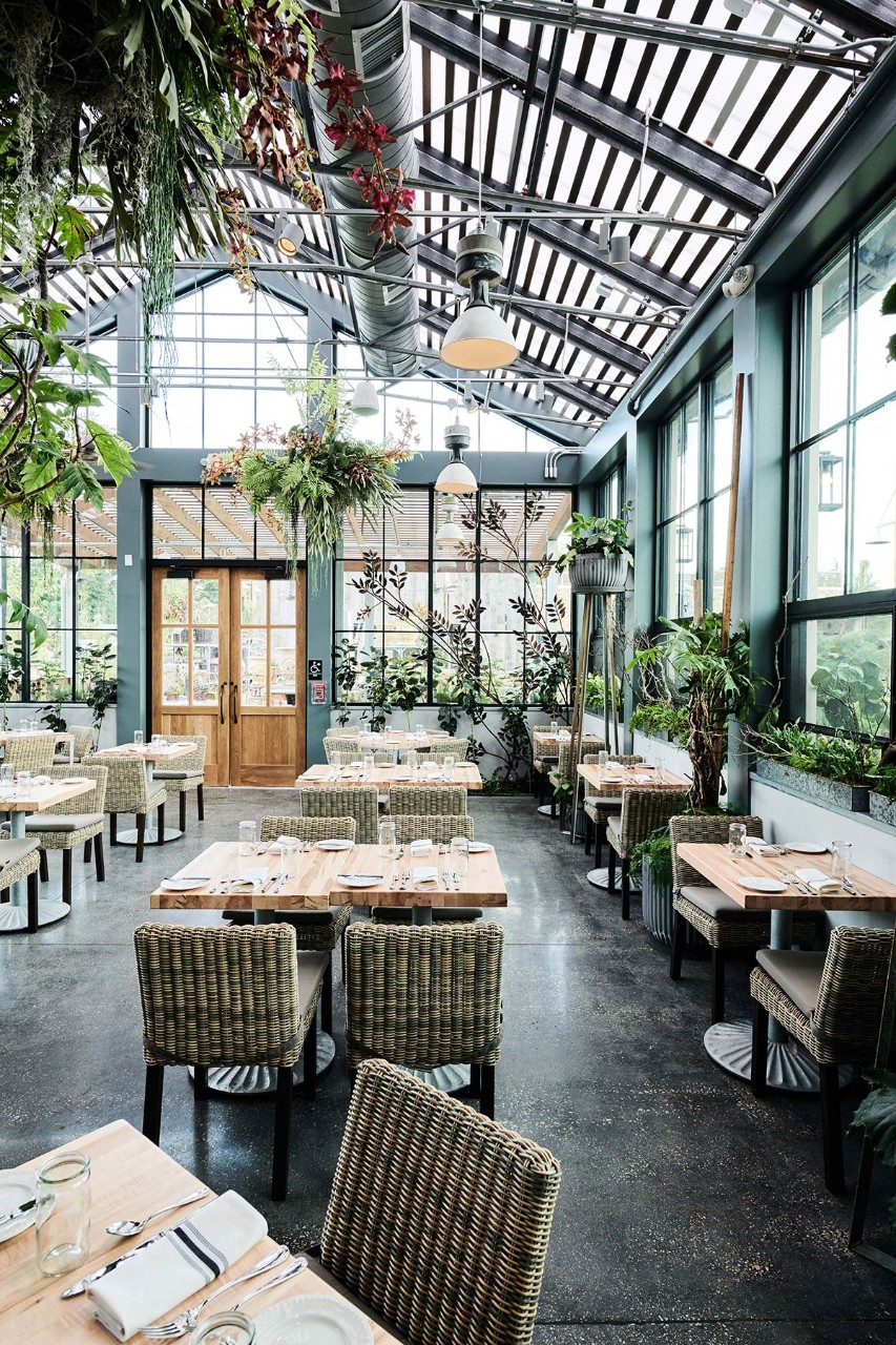 Skylight System in Devon Yard