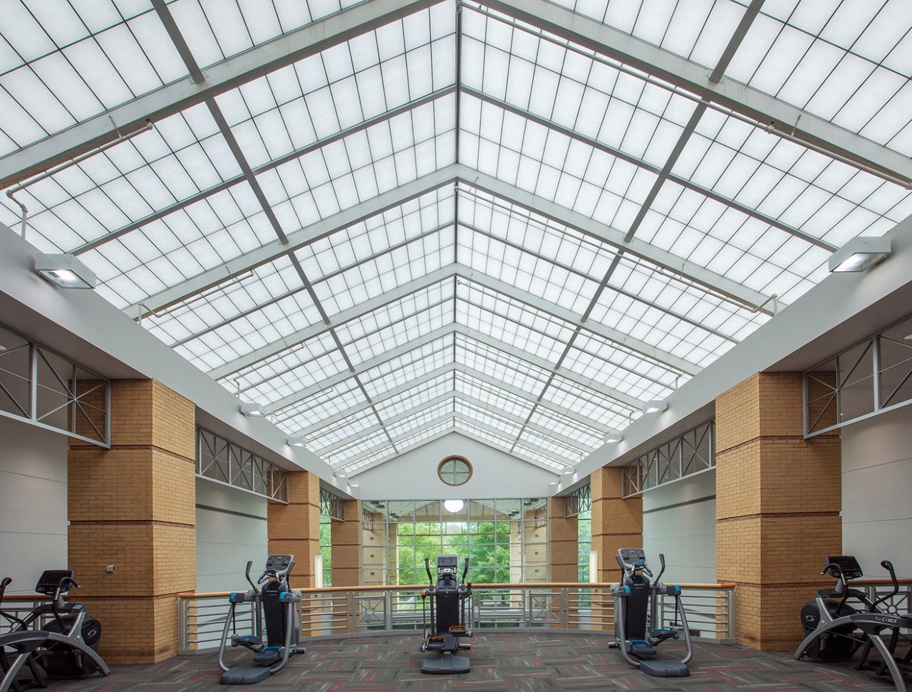 Translucent Panel Skylights