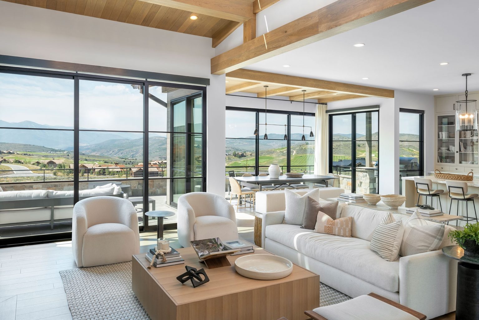 Simulated Steel Windows