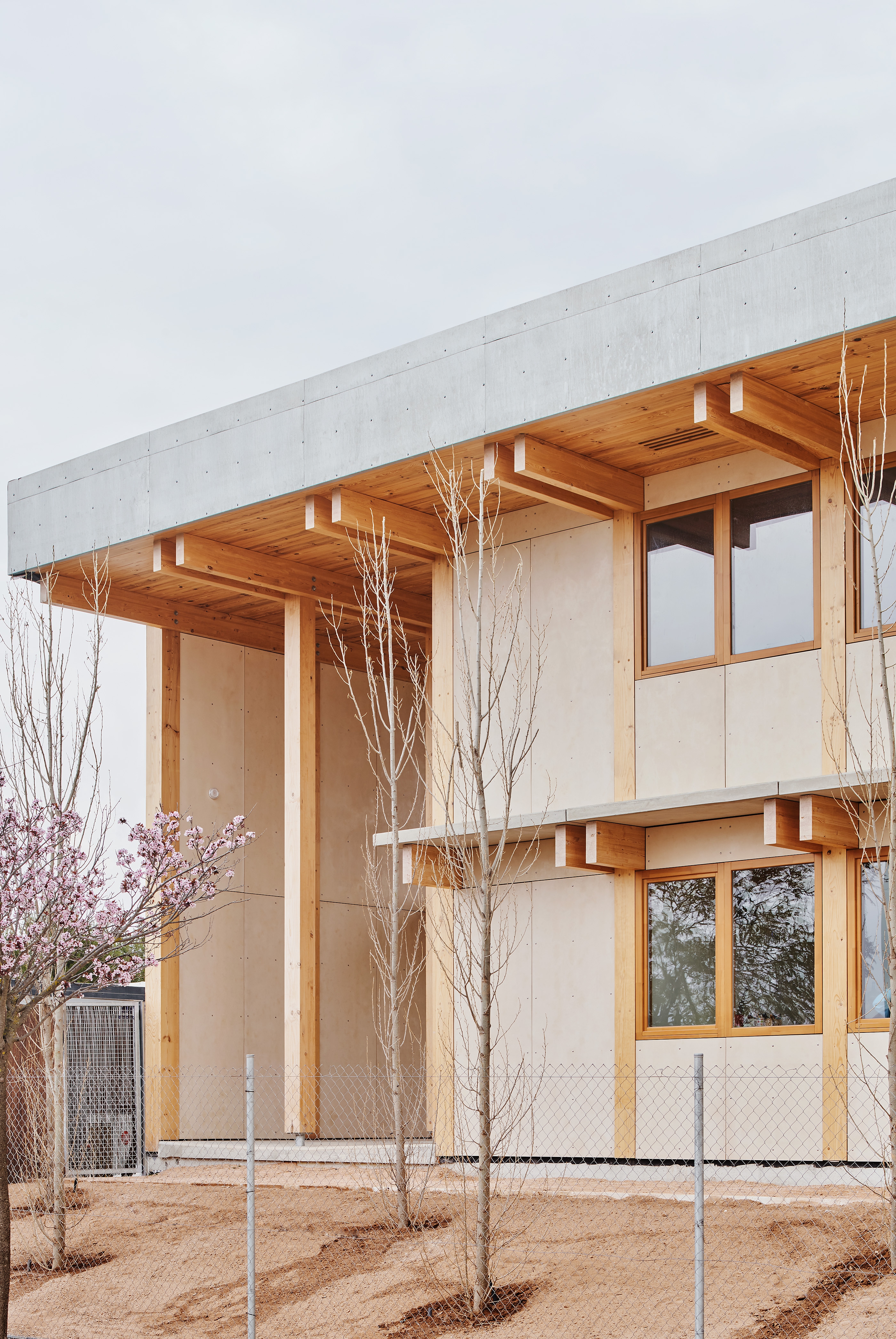 Timber Structure at a School in Mallorca
