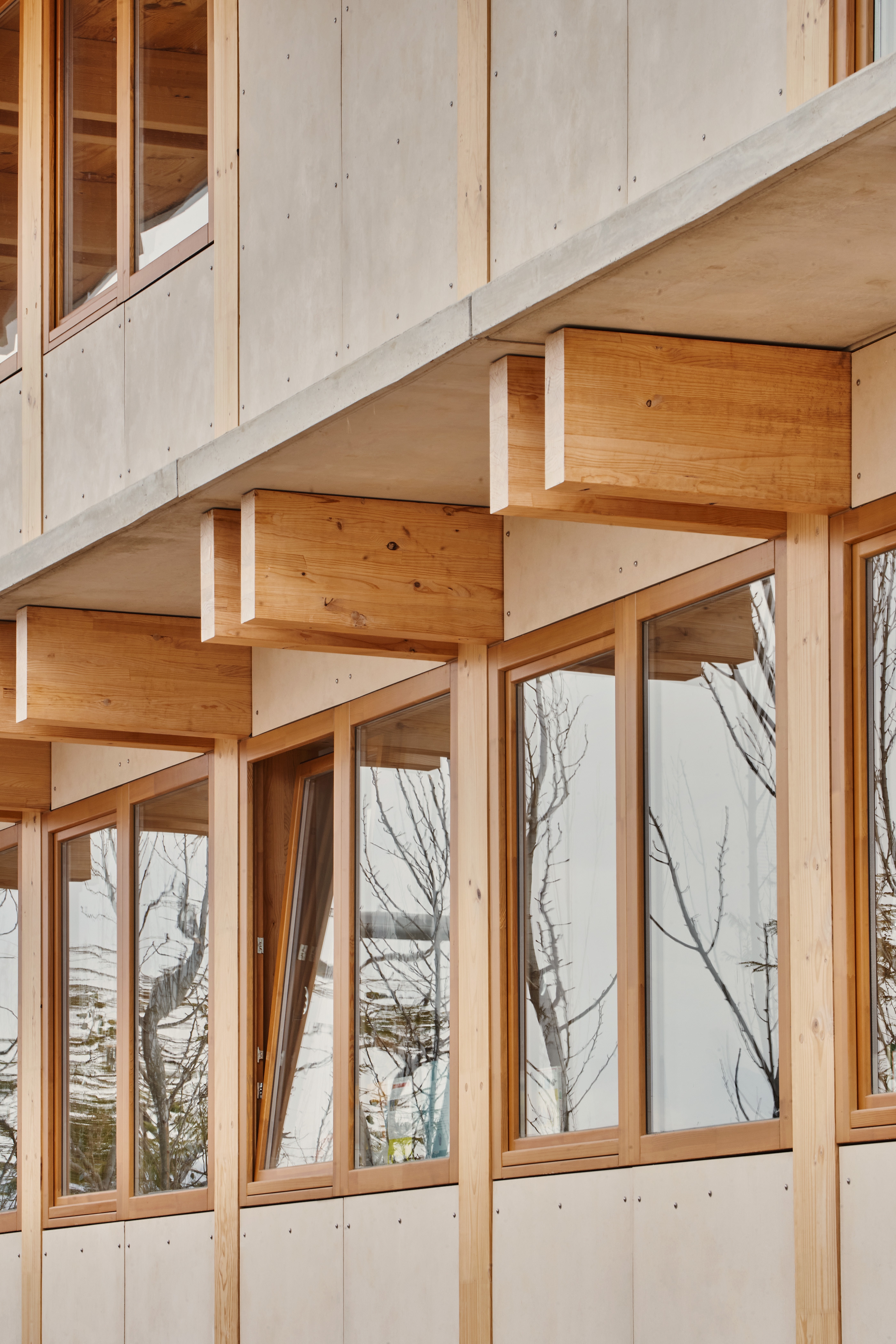 Timber Structure at a School in Mallorca