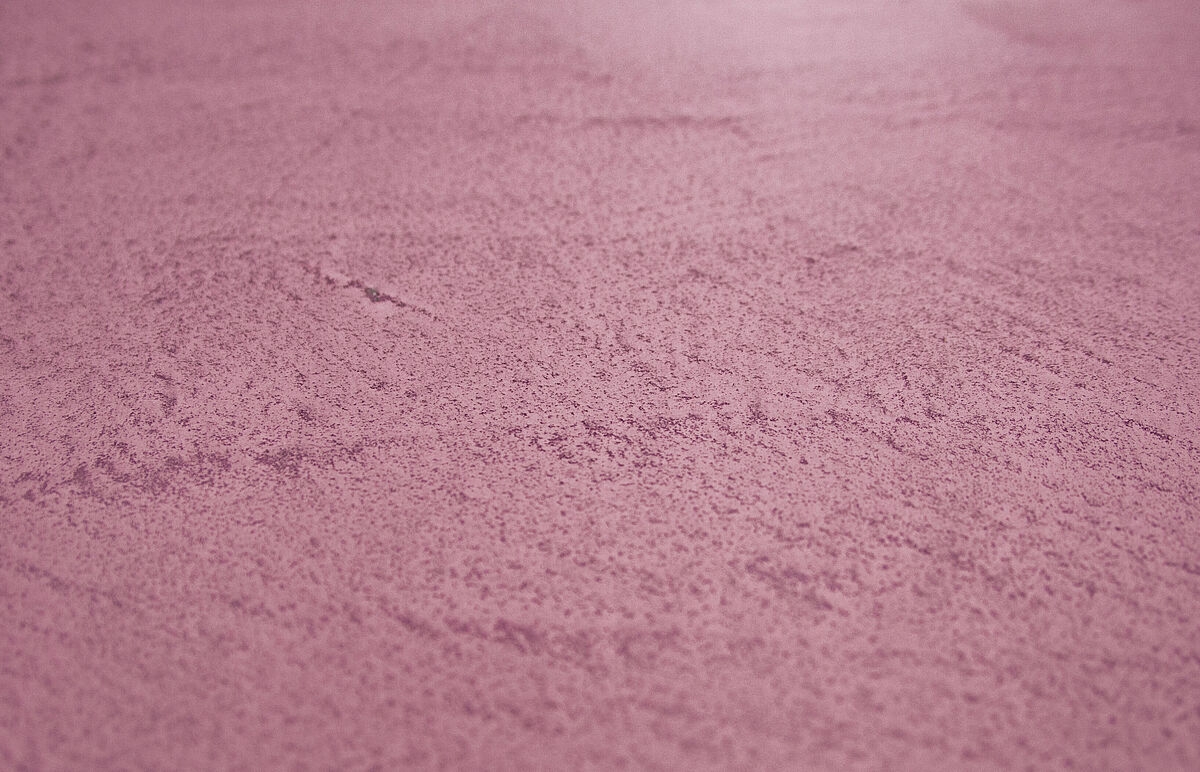 High-Resistance Cement-Based Floor | LOFT