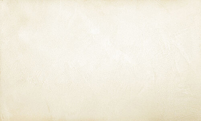 Fine Clay Plaster for Decorative Surfaces | CLAY