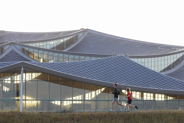 The Dragonscale Roof in the Google Bay View Campus