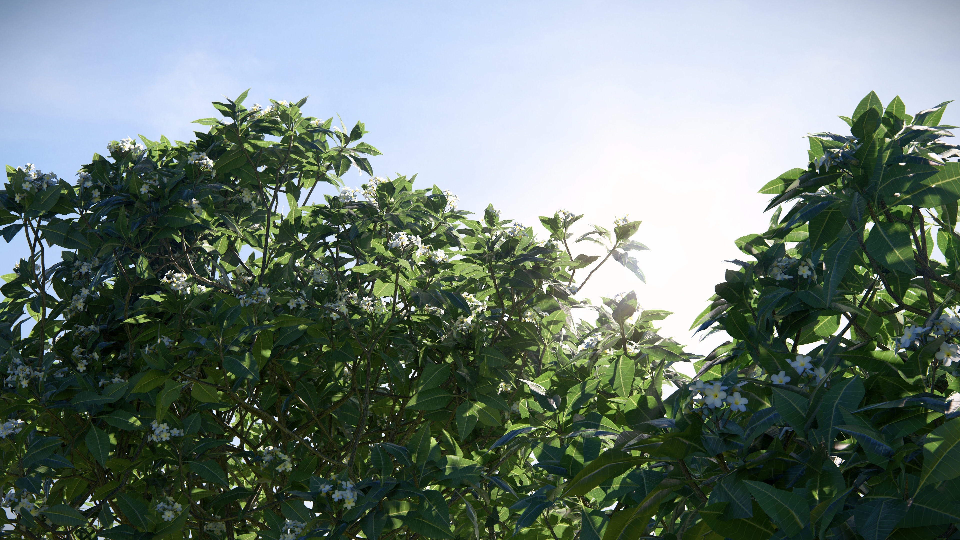 How to Create Realistic Landscape Renders