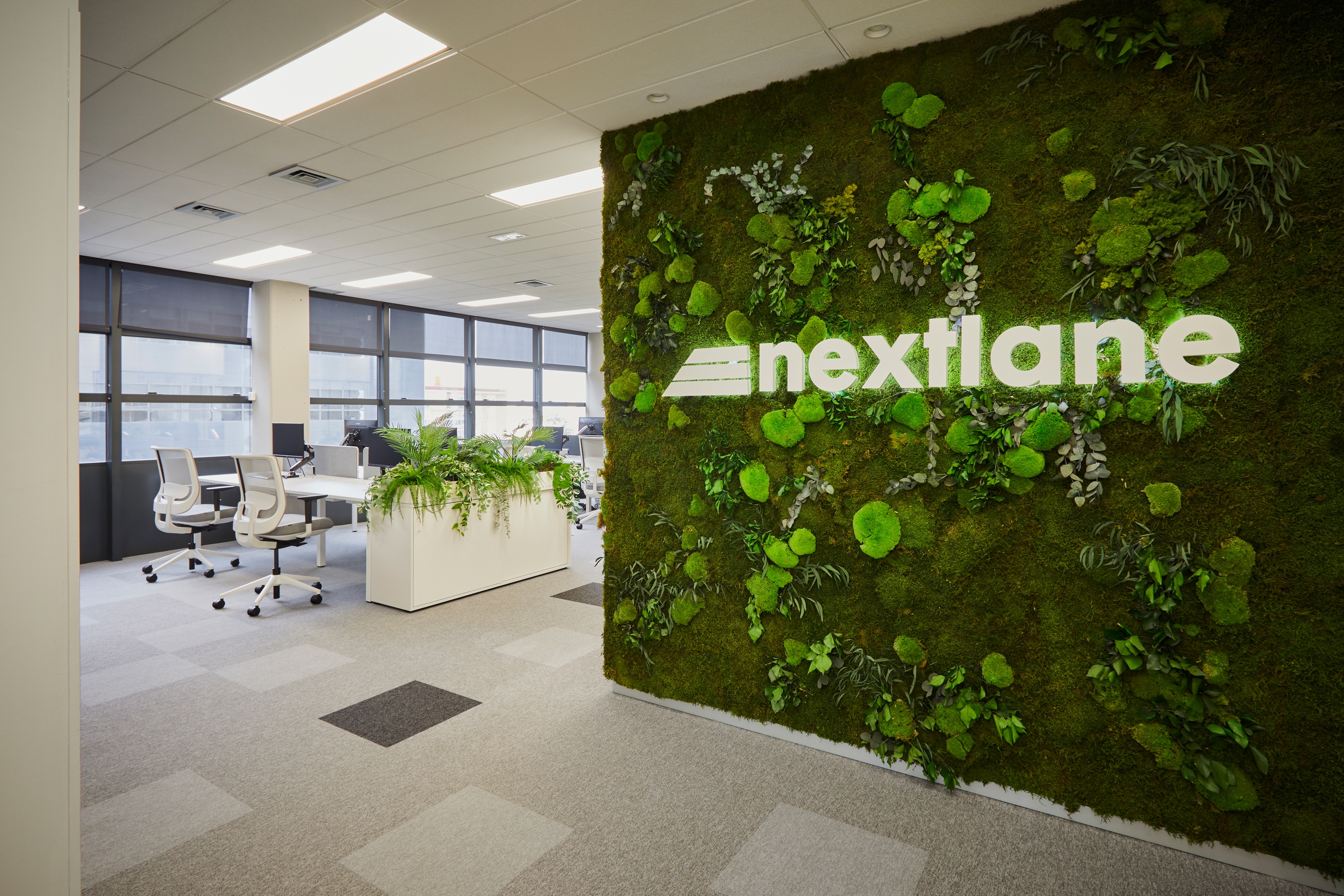 Transformative Workspace at Nextlane HQ