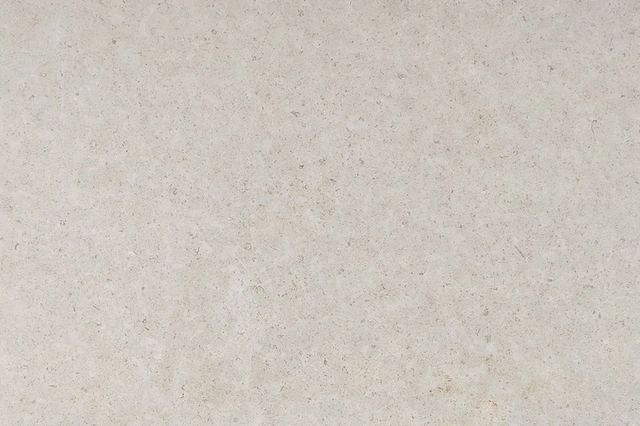 Texture of Sinai Pearl Limestone