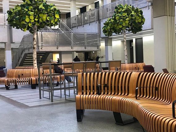 Sculptural Furnishings in Medical School