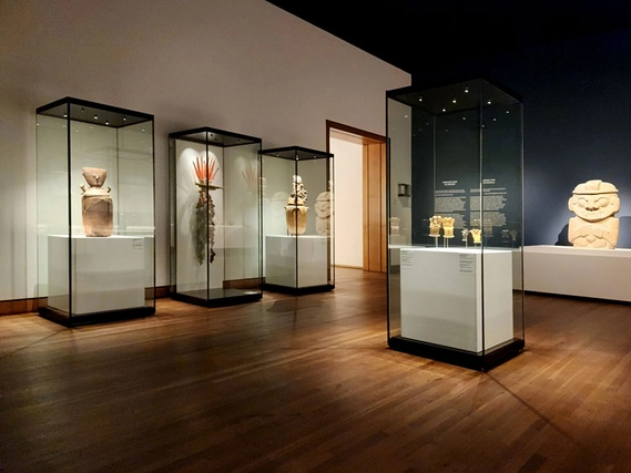 Display Cases in Fine Art Museum