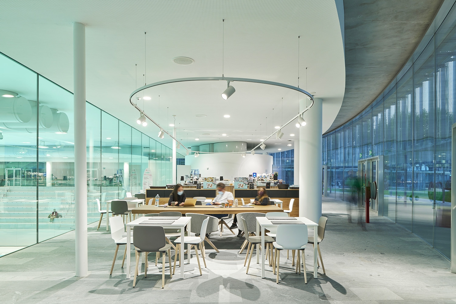 Interior Lighting for Bocconi  Sports Complex