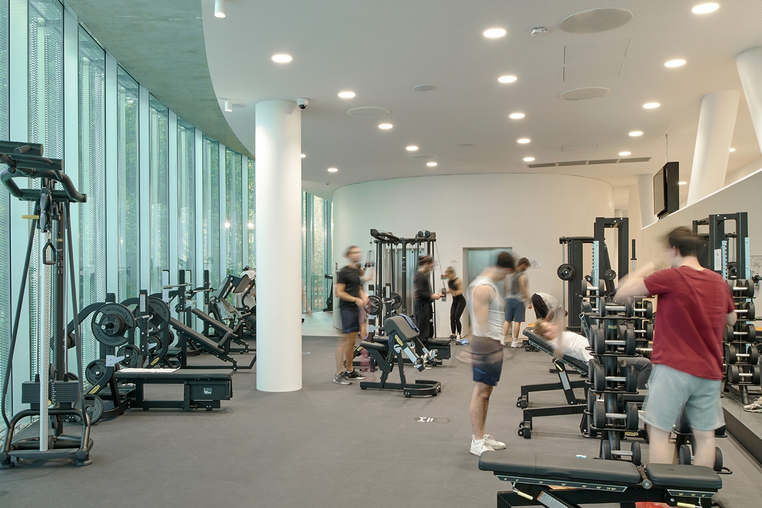 Interior Lighting for Bocconi  Sports Complex