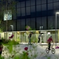Accent Outdoor Lighting for Vienybes Plaza