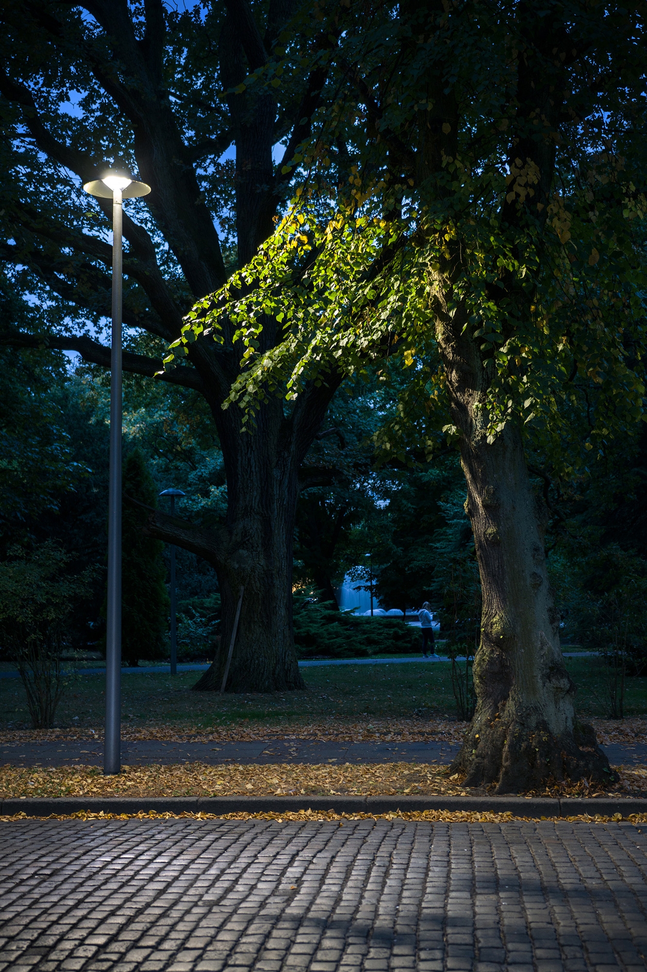 Pole-Mounted and Exterior Wall Luminaires