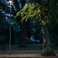 Pole-Mounted and Exterior Wall Luminaires