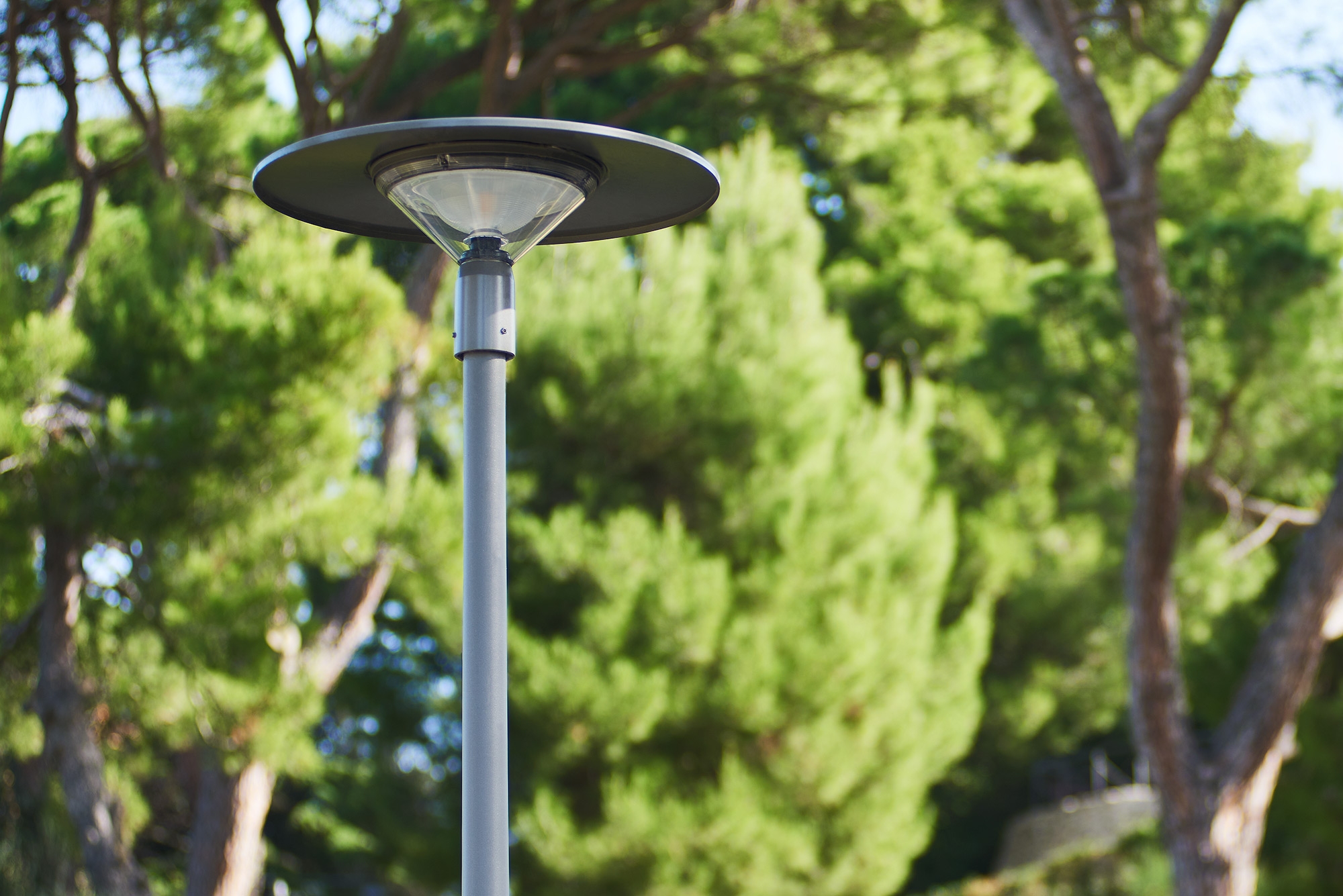 Pole-Mounted and Exterior Wall Luminaires