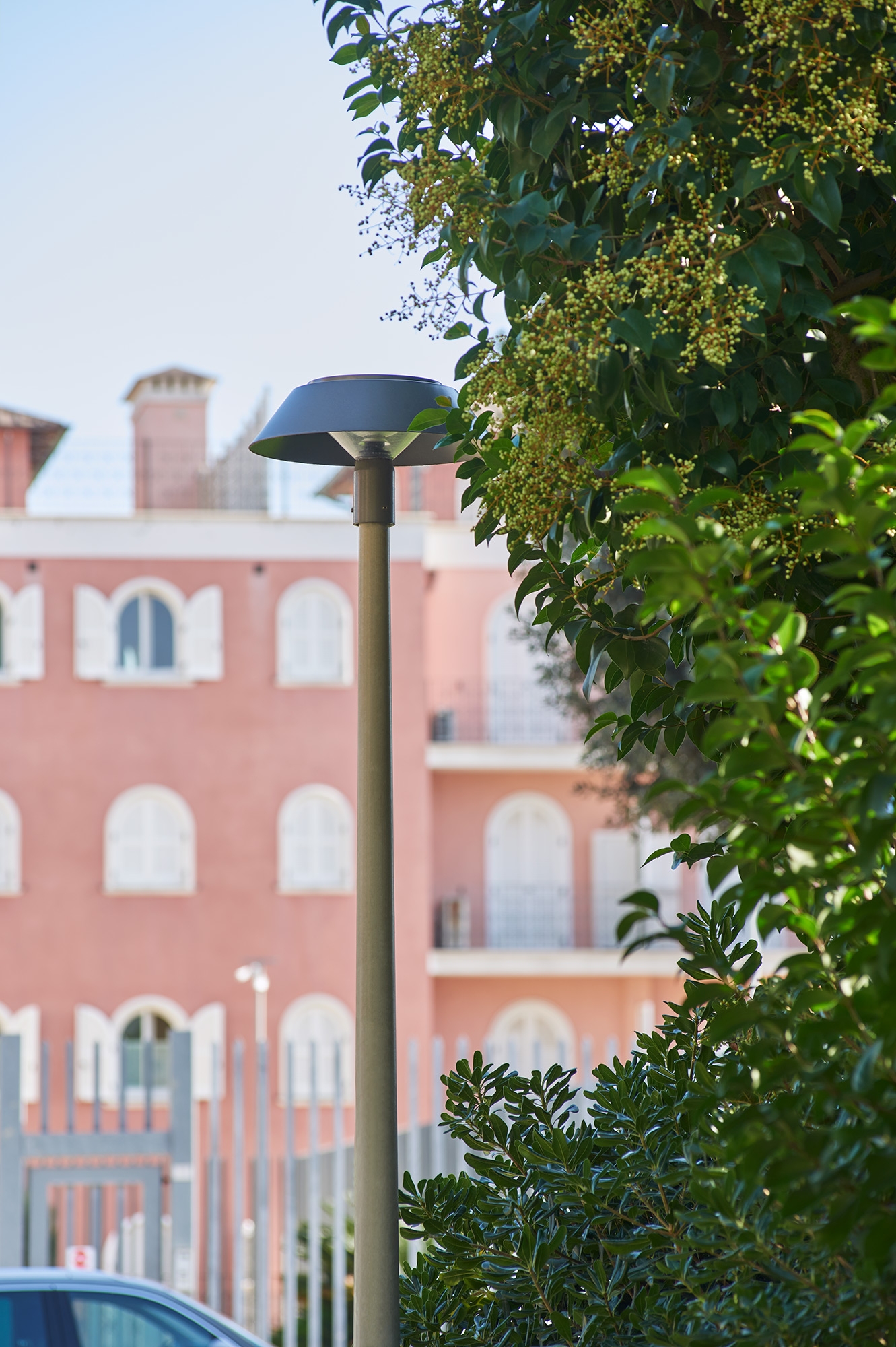 Pole-Mounted and Exterior Wall Luminaires