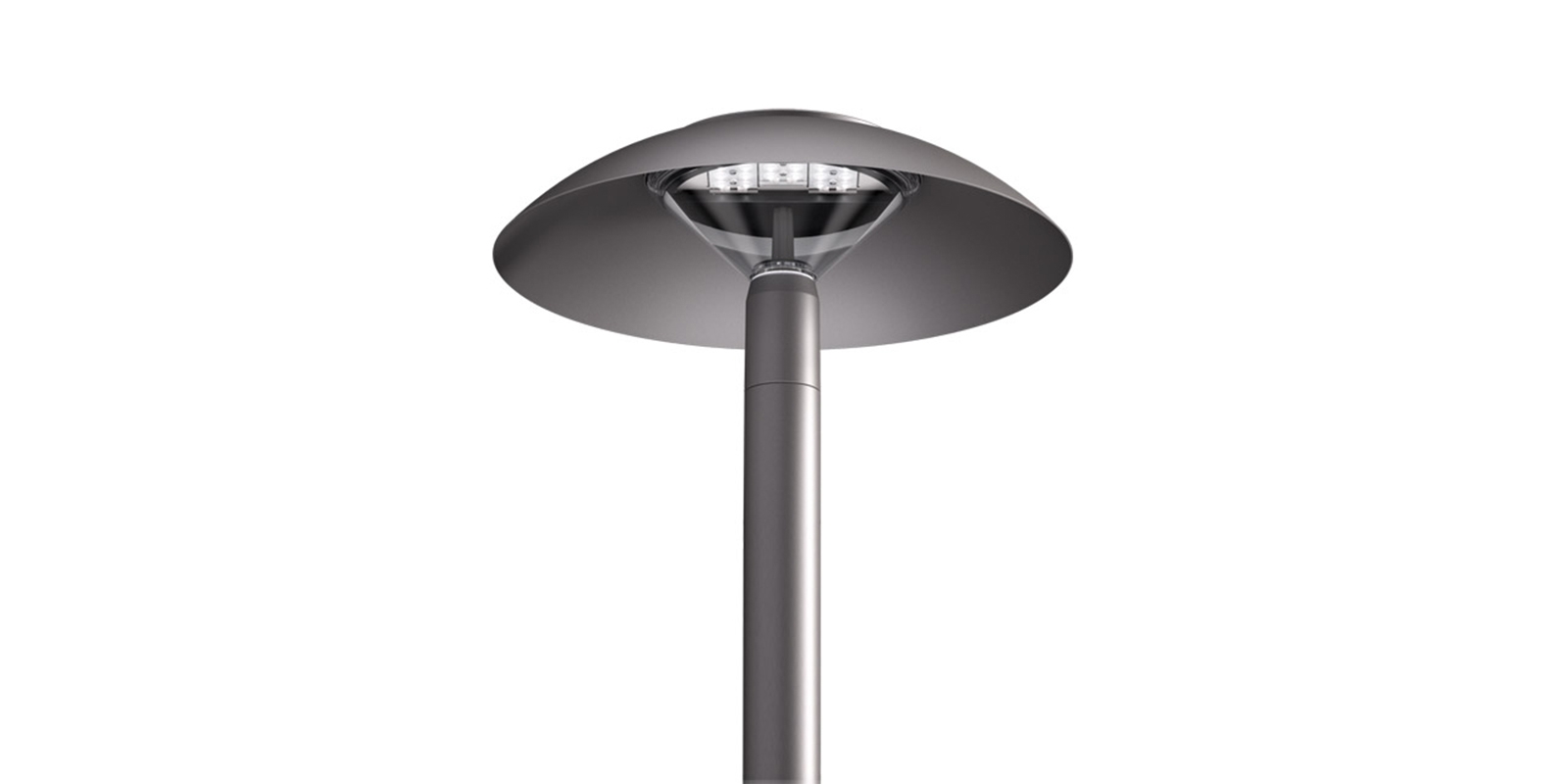 Pole-Mounted and Exterior Wall Luminaires