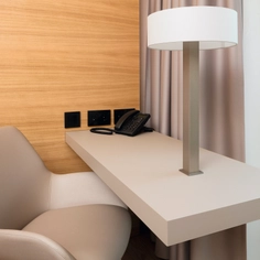 Eurolight Faced Lightweight Boards