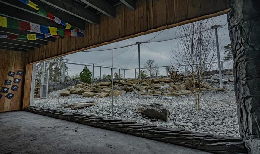 Snow Leopard Enclosure, Chester Zoo, UK