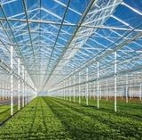 Greenhouse Glass