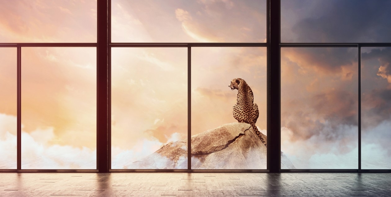 Low Carbon Glass - Pilkington Mirai™ Range