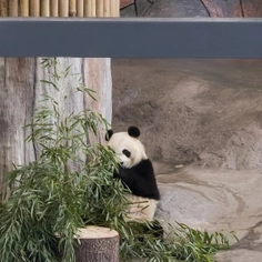 Anti-Reflective Glass - Pilkington OptiView™ Ultra