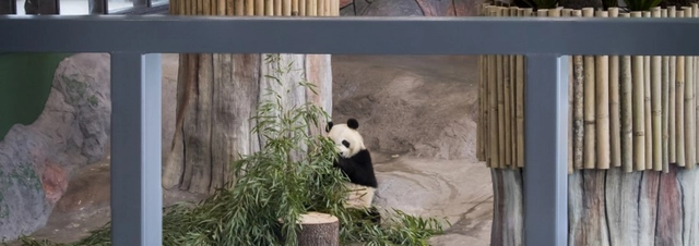 Anti-Reflective Glass - Pilkington OptiView™ Ultra