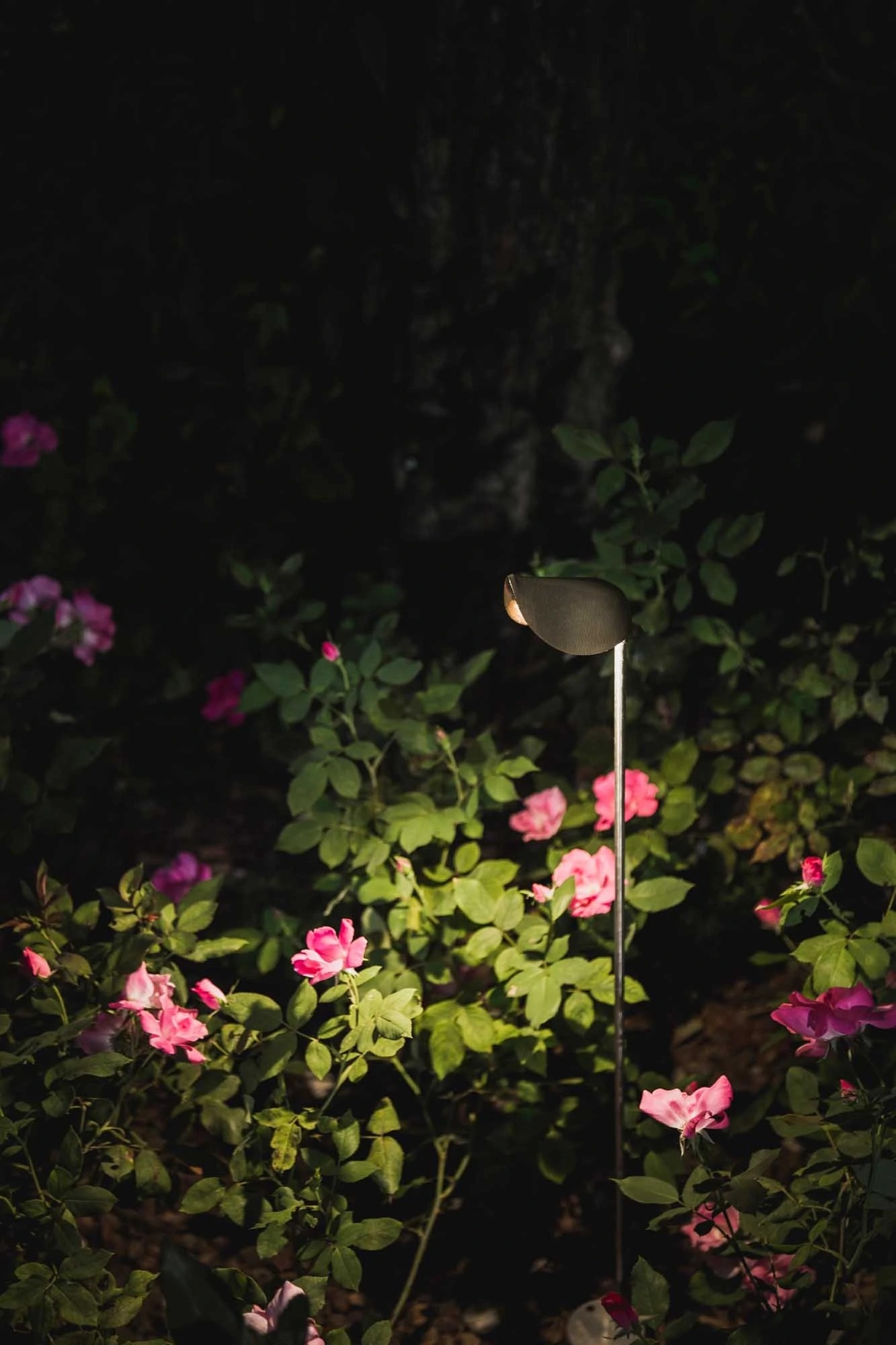 Outdoor - Floor Lamps