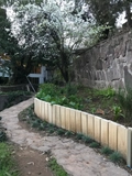 Bordillo