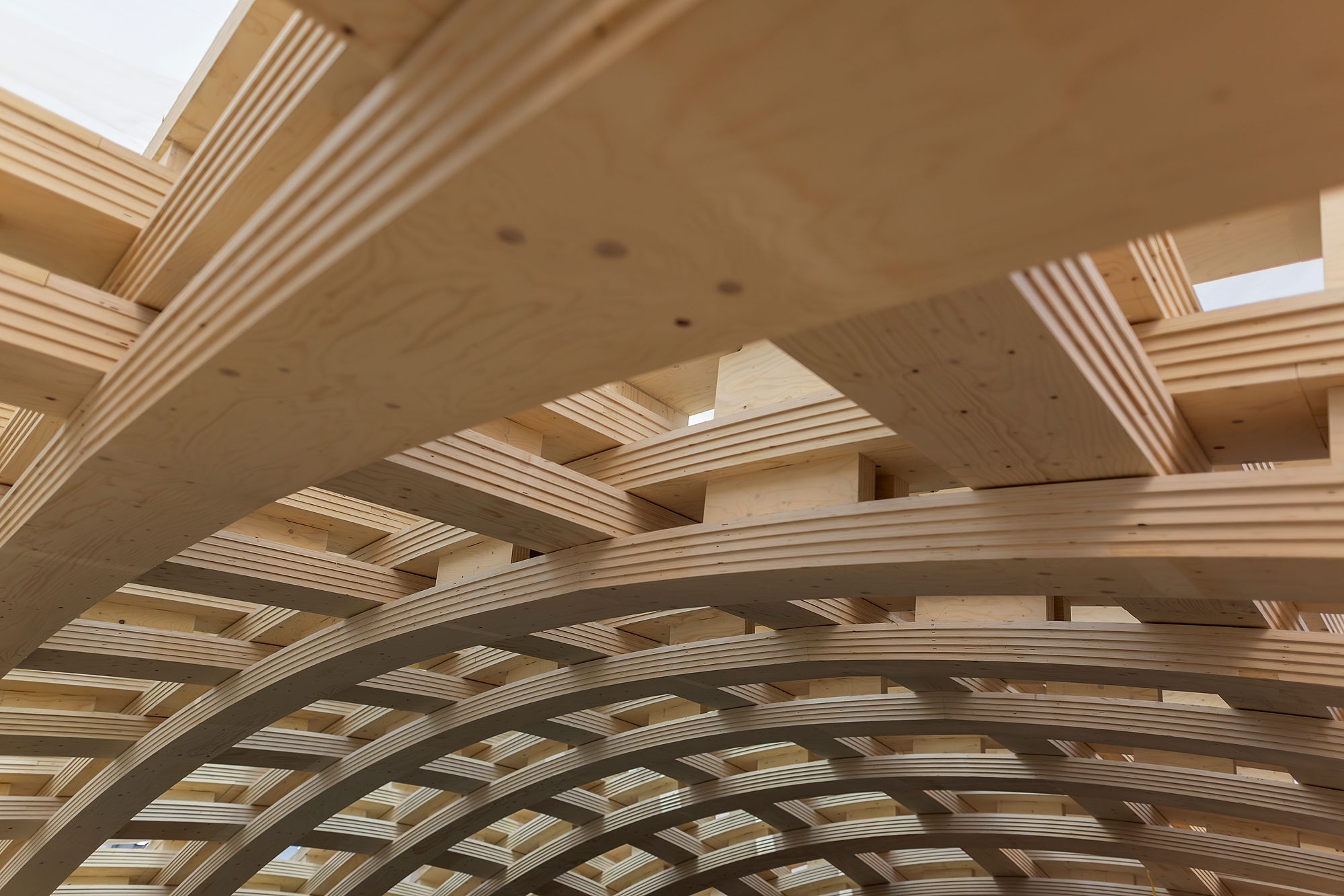 Laminated Veneer Lumber (LVL)