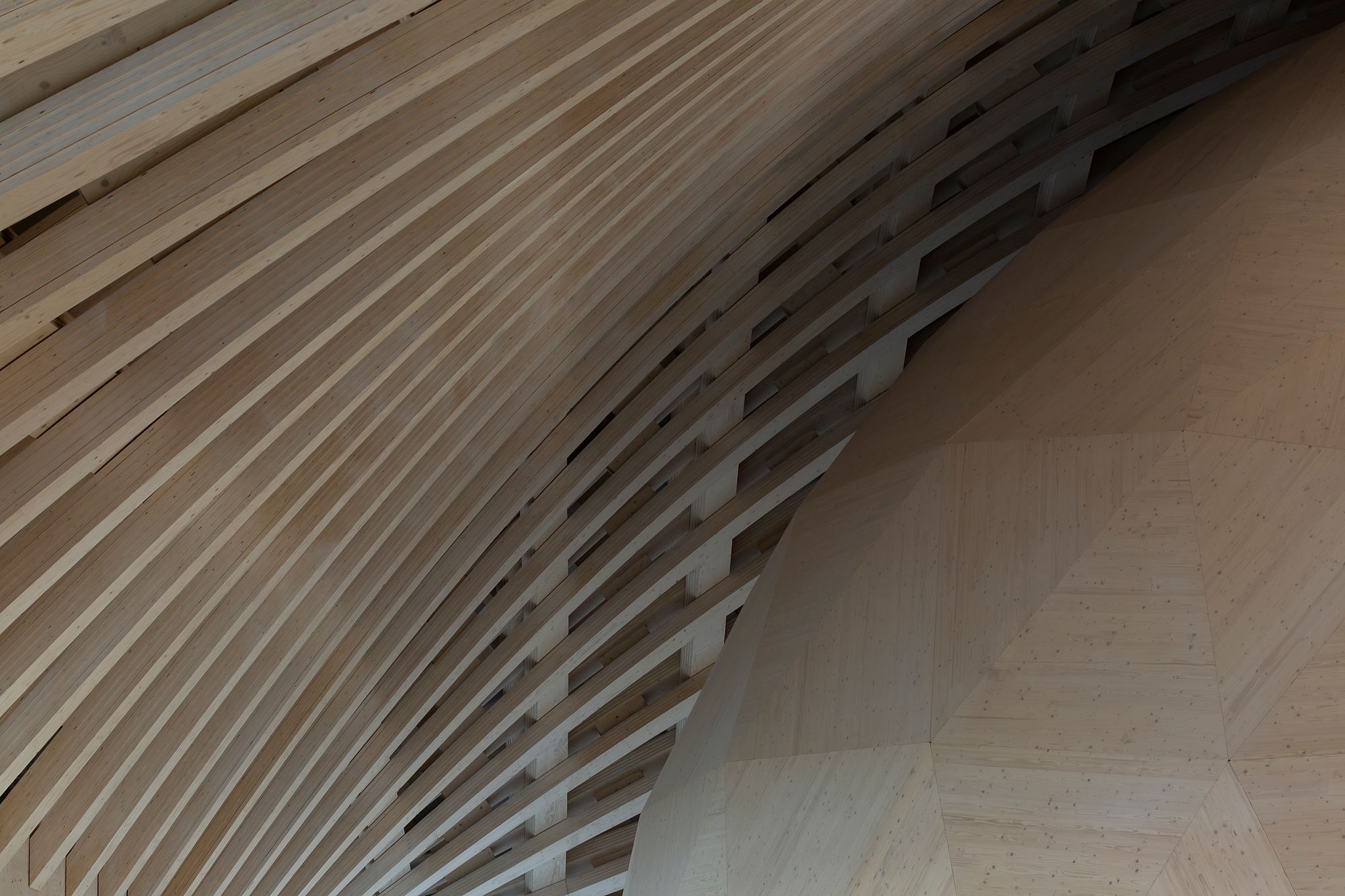 Laminated Veneer Lumber (LVL)