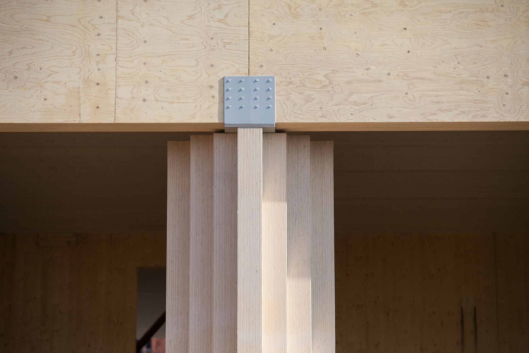 Laminated Veneer Lumber (LVL)