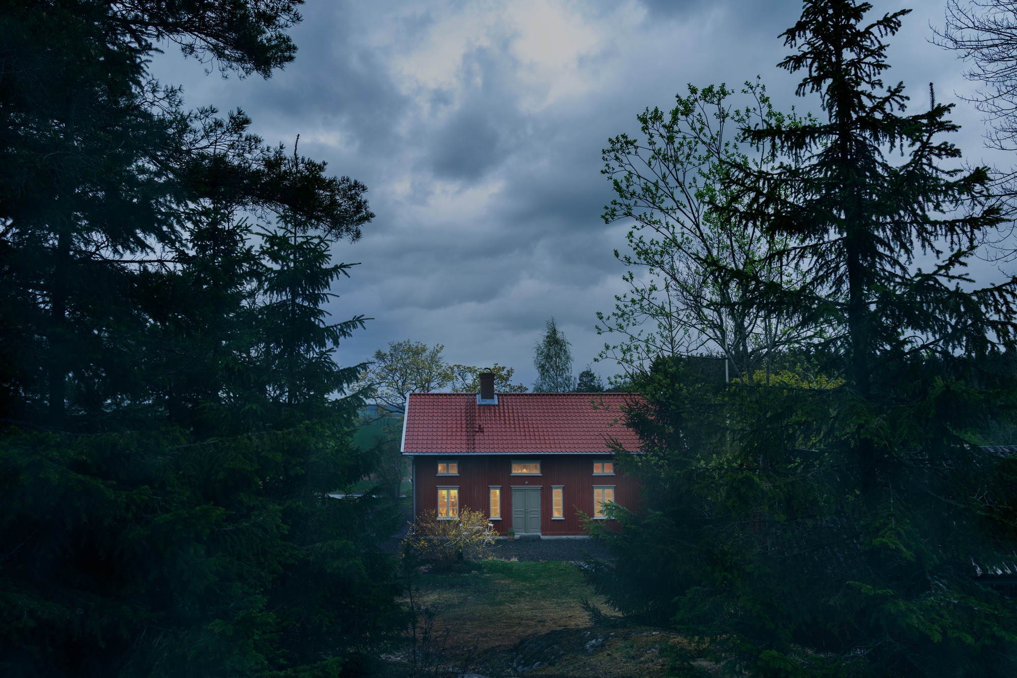 Sawn and Planned Wood