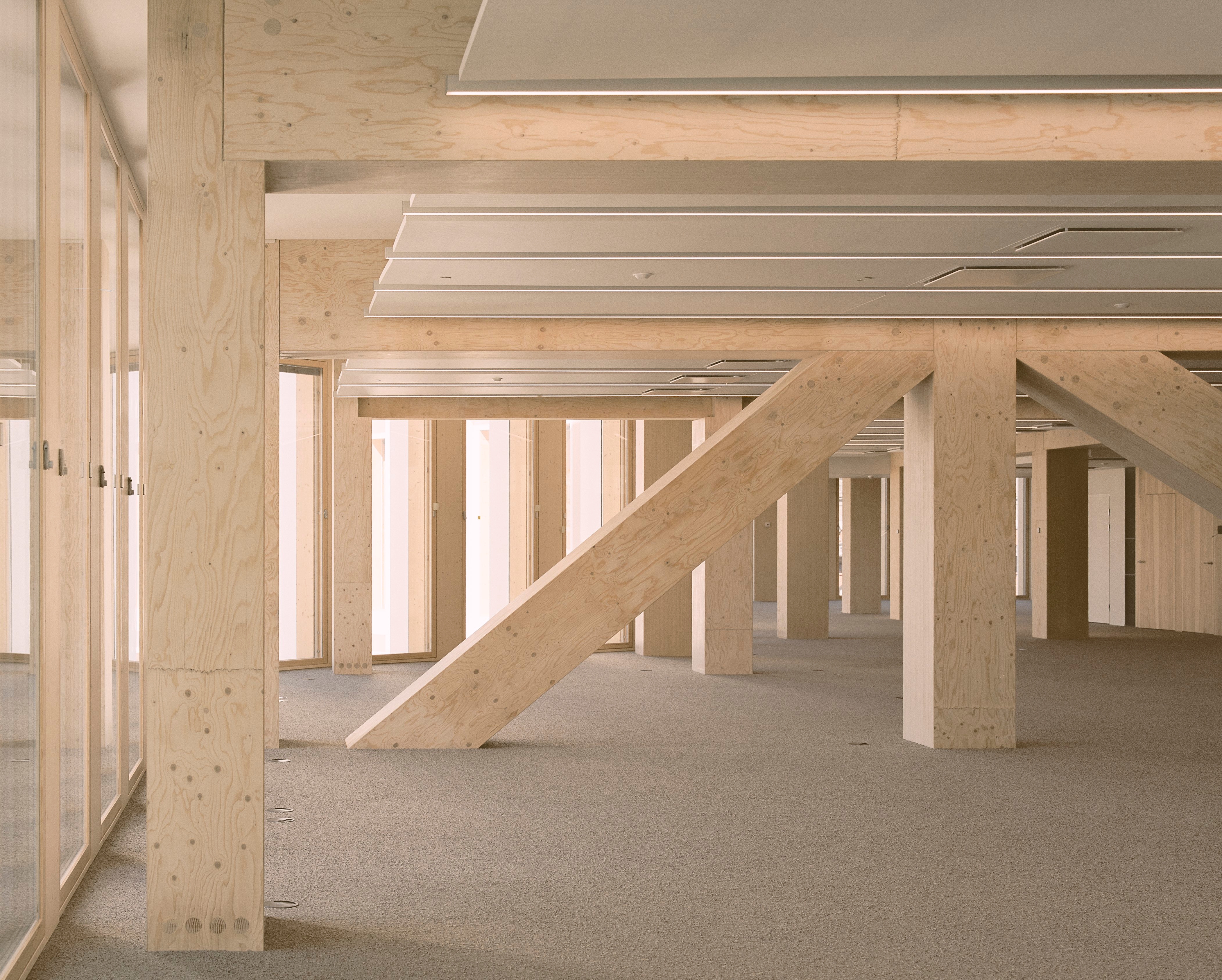 Sylva™  GLT and LVL Beams and Columns