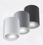 Cylinder LED Ceiling Light