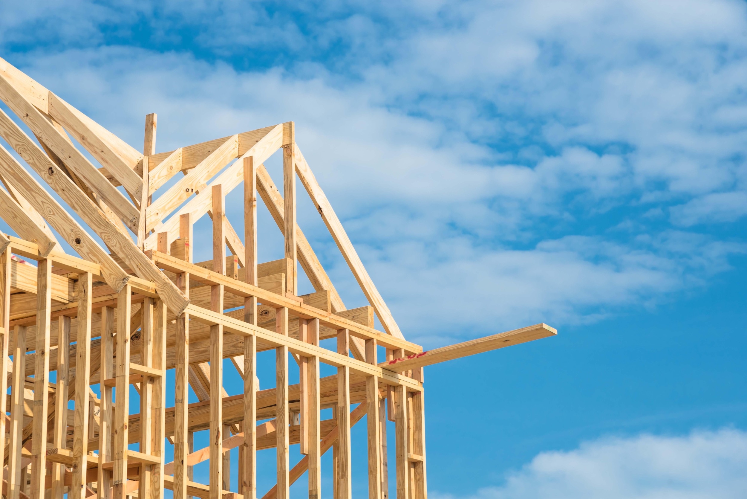 Panel OLB para elementos constructivos