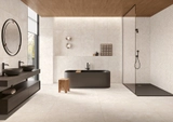 Full Body Porcelain Stoneware - Evolution