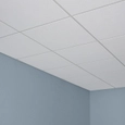 Acoustical Ceiling Panels - Mars™