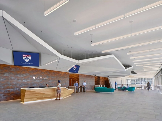 Drywall Ceilings - Ensemble & Sheetrock