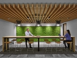Custom Ceilings - Ceilings Plus | Barz®