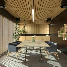 Custom Ceilings - Design Solutions