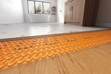 Membrane Systems