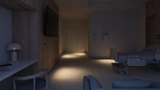 Wayfinding Nightlight - Assure™