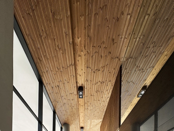 Revestimientos Thermowood en Evoque Belgrano