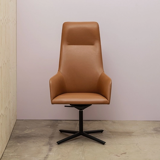 Alya Executive